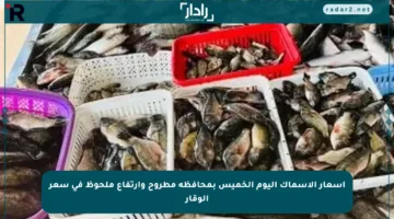 أسعار الأسماك اليوم الخميس بمحافظة مطروح وارتفاع ملحوظ في سعر الوقار